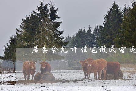 居委会允许住宅做民宿违法吗 居委会允许住宅做民宿违法吗