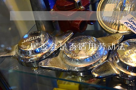 居委会是否适用劳动法 居委会是否适用劳动法