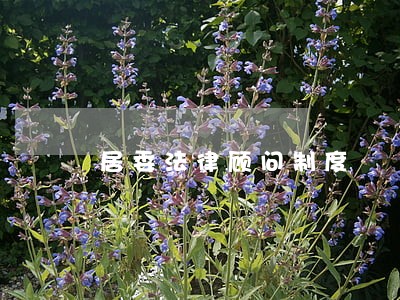 居委法律顾问制度 居委法律顾问制度