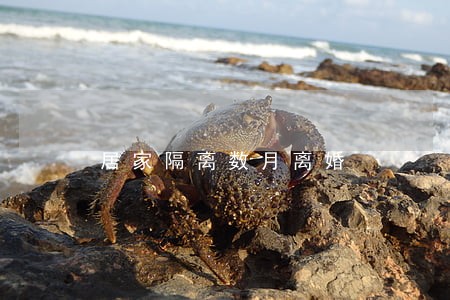 居家隔离数月离婚 居家隔离数月离婚