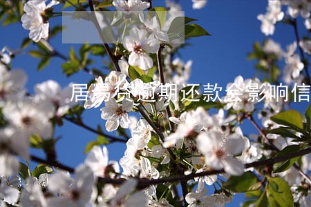 居易贷逾期还款会影响信用吗 居易贷逾期还款会影响信用吗