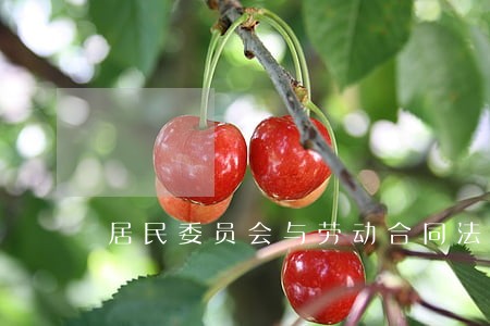 居民委员会与劳动合同法 居民委员会与劳动合同法