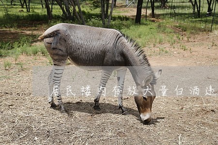 居民楼内存放大量白酒违法吗