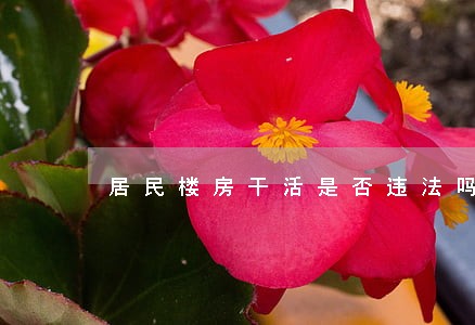 居民楼房干活是否违法吗 居民楼房干活是否违法吗