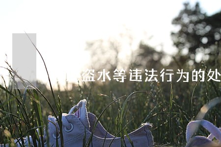 居民盗水等违法行为的处罚依据 居民盗水等违法行为的处罚依据