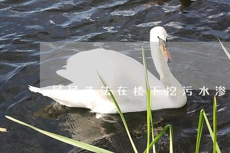 居民违法在楼下挖污水渗水井 居民违法在楼下挖污水渗水井