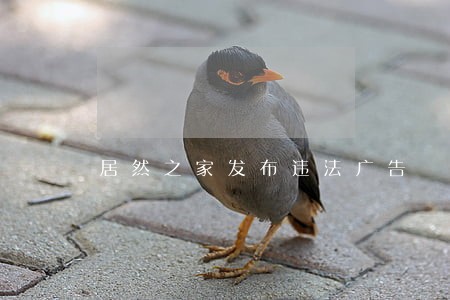 居然之家发布违法广告 居然之家发布违法广告