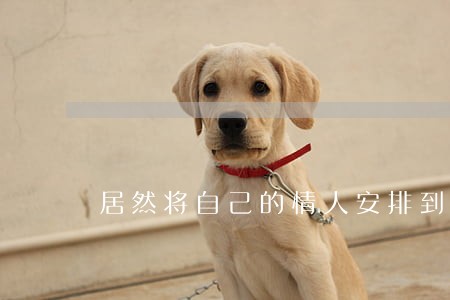 居然将自己的情人安排到法院当官