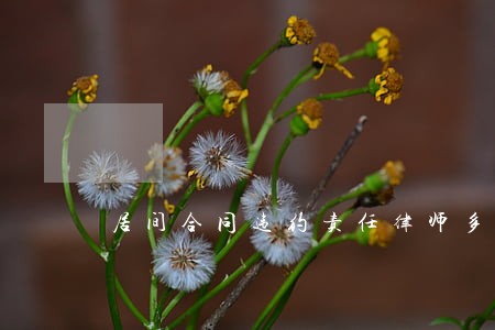 居间合同违约责任律师多少钱