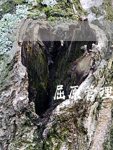 屈原管理区局长 屈原管理区局长
