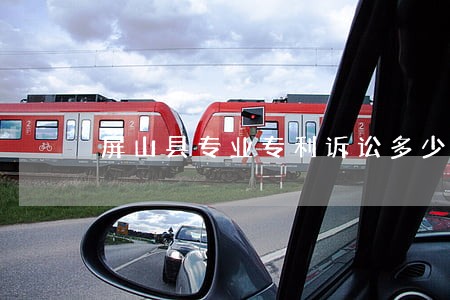 屏山县专业专利诉讼多少钱 屏山县专业专利诉讼多少钱
