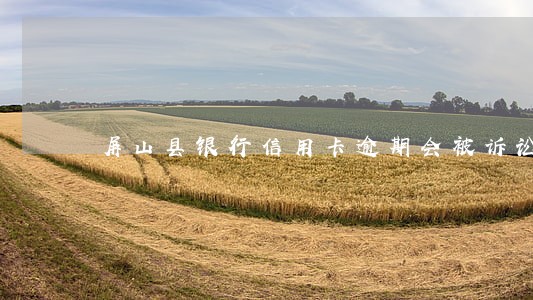屏山县银行信用卡逾期会被诉讼吗 屏山县银行信用卡逾期会被诉讼吗