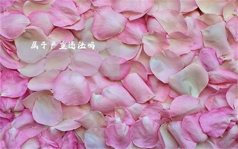 属于严重违法吗