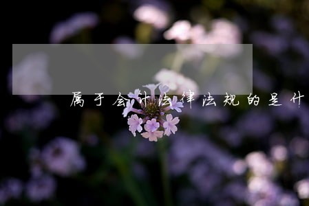 属于会计法律法规的是什么 属于会计法律法规的是什么