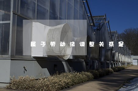 属于劳动法调整关系是 属于劳动法调整关系是