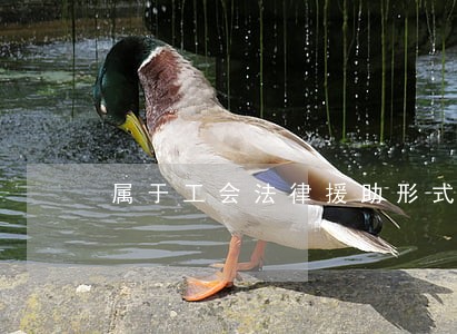 属于工会法律援助形式的