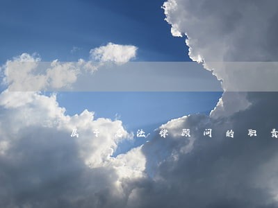 属于总法律顾问的职责 属于总法律顾问的职责