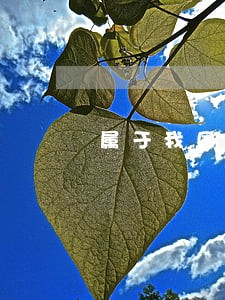 属于我国民法调整的关系