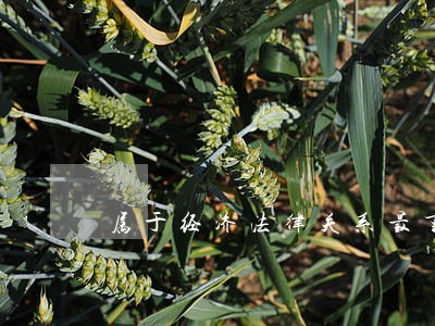 属于经济法律关系最重要的主体是 属于经济法律关系最重要的主体是