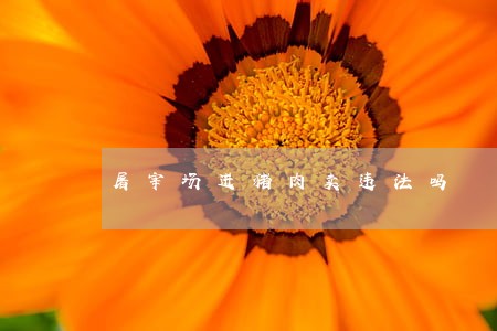 屠宰场进猪肉卖违法吗 屠宰场进猪肉卖违法吗