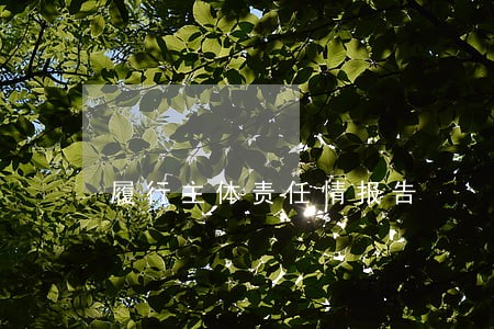 履行主体责任情报告