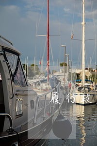 履行政府信息公开答复违法 履行政府信息公开答复违法