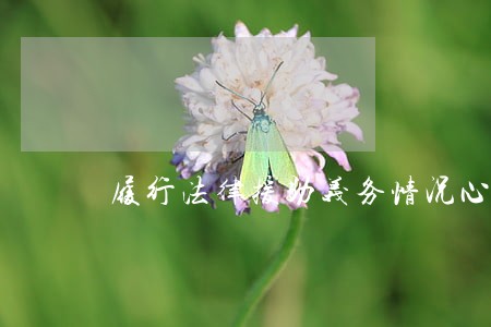履行法律援助义务情况心得