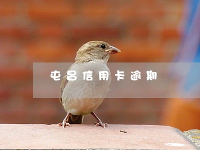屯昌信用卡逾期