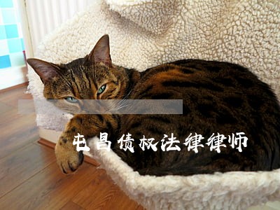 屯昌债权法律律师 屯昌债权法律律师