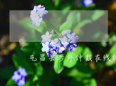 屯昌县涉外仲裁在线律师 屯昌县涉外仲裁在线律师