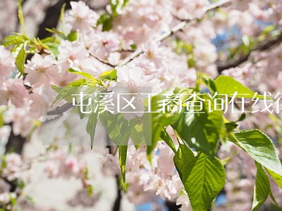 屯溪区工商查询在线律师 屯溪区工商查询在线律师