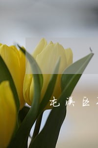 屯溪区职务犯罪律师咨询电话