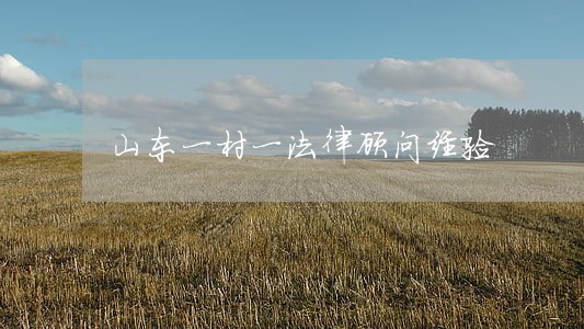 山东一村一法律顾问经验 山东一村一法律顾问经验
