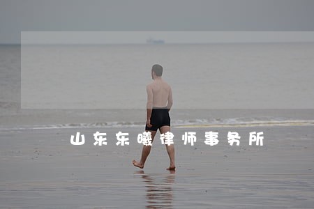 山东东曦律师事务所 山东东曦律师事务所