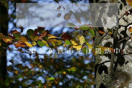 山东东营市法律援助中心 山东东营市法律援助中心