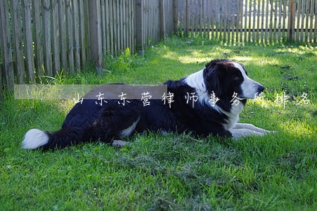 山东东营律师事务所排名榜 山东东营律师事务所排名榜