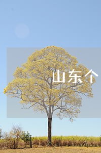 山东个人法律顾问价格 山东个人法律顾问价格