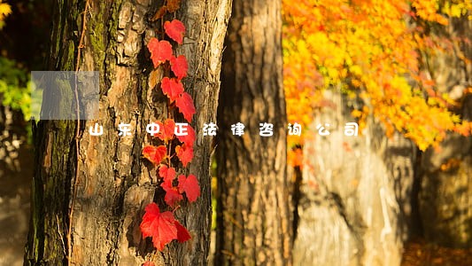 山东中正法律咨询公司 山东中正法律咨询公司