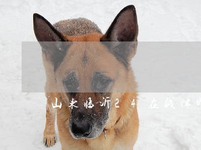 山东临沂24在线律师咨询 山东临沂24在线律师咨询
