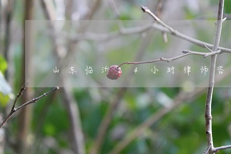 山东临沂24小时律师咨询热线