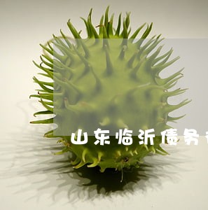 山东临沂债务律师网站 山东临沂债务律师网站