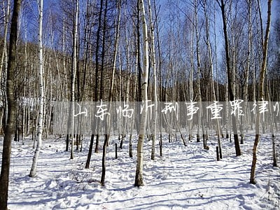 山东临沂刑事重罪律师费用多少 山东临沂刑事重罪律师费用多少