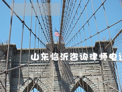 山东临沂咨询律师电话号码是多少