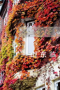 山东临沂市债务律师电话咨询 山东临沂市债务律师电话咨询