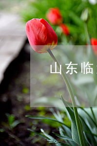 山东临沂市民事债务纠纷律师价格