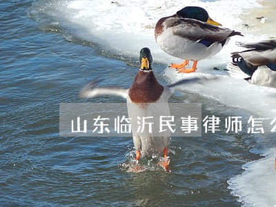 山东临沂民事律师怎么样 山东临沂民事律师怎么样