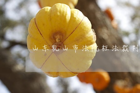 山东乳山市法院枉法裁判 山东乳山市法院枉法裁判