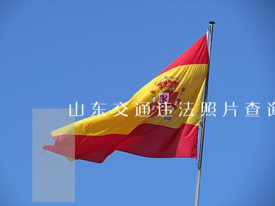 山东交通违法照片查询