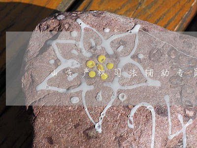 山东产权司法辅助专员招聘面试 山东产权司法辅助专员招聘面试