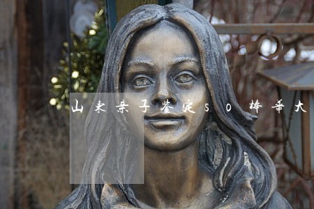 山东亲子鉴定so棒华大司法 山东亲子鉴定so棒华大司法